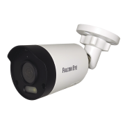 Видеокамера сетевая (IP) Falcon Eye FE-IPC-B2-30p